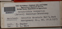 Image Associated With the Occurence